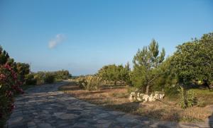 kouremenos beach house East