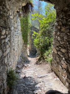 Maisons de vacances Mon Reve : photos des chambres