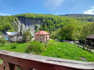 У Тараса і Лесі