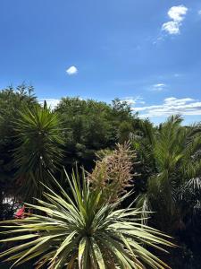 Appartements La Canopee - residence avec piscine dans Grimaud : photos des chambres