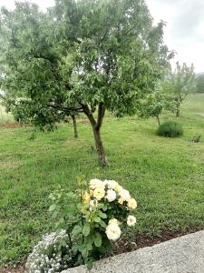 Holiday home Filip i Petra 