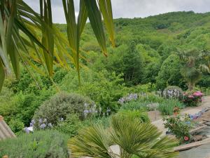 B&B / Chambres d'hotes La Storya : photos des chambres