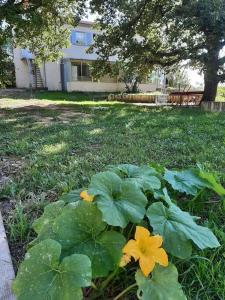 Appartements Maison a la campagne entre Aix en Pce et Marseille : photos des chambres