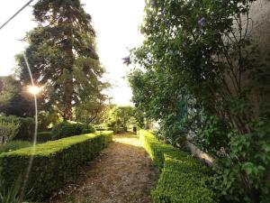 Appartements Charmant studio avec jardin a la campagne sur le chemin de Saint Jacques de Compostelle : photos des chambres