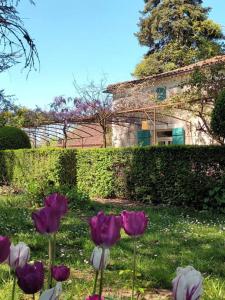 Appartements Charmant studio avec jardin a la campagne sur le chemin de Saint Jacques de Compostelle : photos des chambres