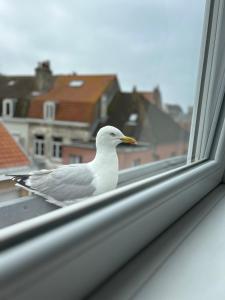 Appartements Experience Malouine - Appt T3-Coeur de Malo-Plage : photos des chambres