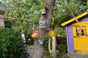 Maisons de vacances Gite sous les chenes : pour un sejour ressourcant : photos des chambres