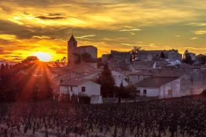 Gîte sous les chênes : pour un séjour ressourçant
