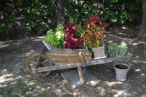 Gîte sous les chênes : pour un séjour ressourçant