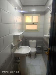 Aswan Nile view palace