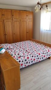 Apartman Samardzic
