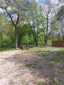 Agroturystyka LipoweWzgórze- Jaś&Małgosia