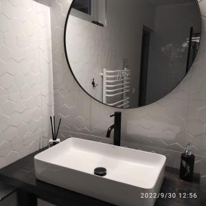 APARTAMENTY Harmonica