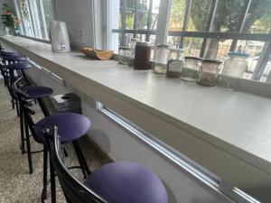 Wynwood Extreme Hostel