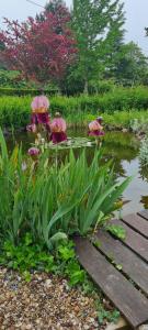 Campings Caravane chauffee -l'attrape-reve aux portes du chateau de Chambord et Cheverny : photos des chambres