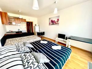 Centrum park apartment