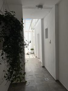 3 Bedroom House included car rental-Heated Jacuzzi