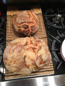 Honey Maple Grove BnB