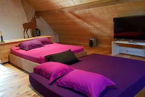 Chalets La coume du cerf : photos des chambres