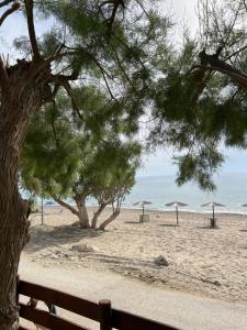 Double Room with Balcony and Sea View room in Pelini