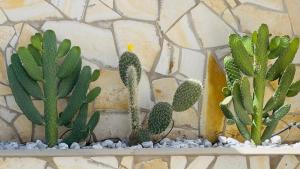 Casa Solaris at Anfi Beach with Private Terrace, Pool & Netflix