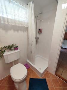 Apartman Valentin