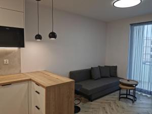 Apartament EwArt I