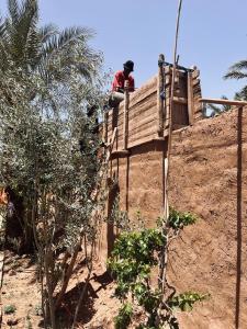 Paradis Touareg