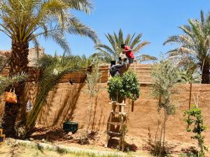Paradis Touareg