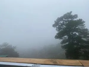 Coca homestay - 洛伊城