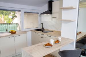 Studio Apartman Nega 1