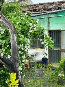 Villa Soppena: casa in montagna nella neve - 韦纳夫罗