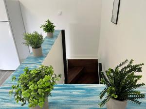 Appartements Blue & Red & Green - Louez L'Esprit Libre! : photos des chambres