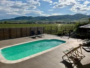 Gîte proche Colmar vignoble - 安热尔桑