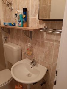 Apartman-Kuzminski-Kraje14