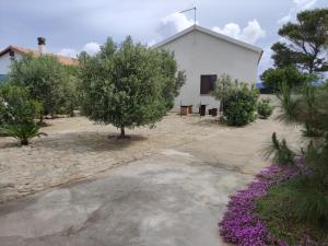Dune bianche img69