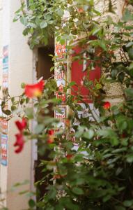 Hotels Les jardins du Patriarche Hotel : photos des chambres