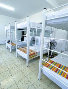Vive Alegria Hostel