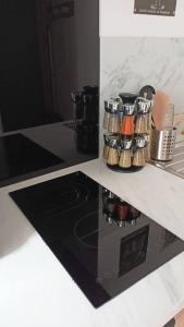 Appartements Le Raffine : photos des chambres