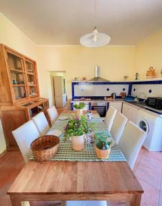 PRIVATE VILLA on 8 Hectares - 20 minutes from the Sea - FREE PARKING