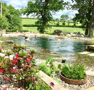Mid-Wales Farmhouse, swimming pool, tranquil countryside views, sleeps 14