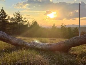 Apartman Popović - Vila Gorštak