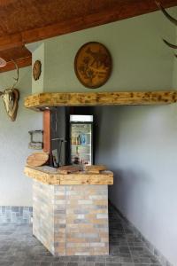 Vila Dimitrijevic Lisine