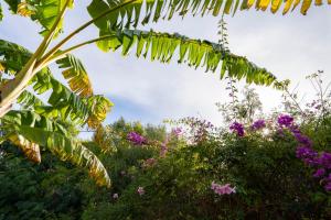 Sotogrande Spacious Duplex with garden