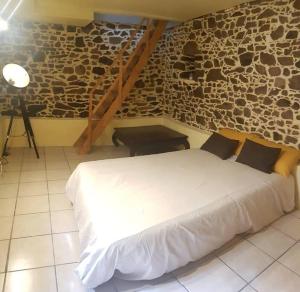 Maison charmante avec jardin centre-ville proche puy du fouu Arrivée autonome