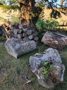 En Concordia, casa estilo industrial con amplio patio a 10 minutos de la plaza principal