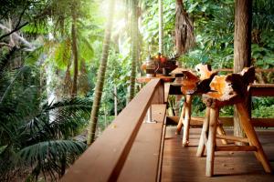 Currumbin Rainforest Treehouse