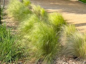 Villas Villa Sophie : photos des chambres