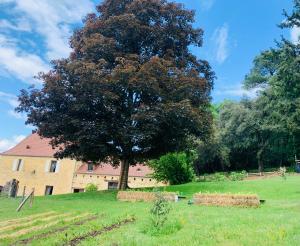 Lodges L'ecrin des symes : photos des chambres