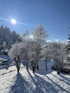 Appartements Megeve -WHITE ASTER- charming renovated apartment : photos des chambres